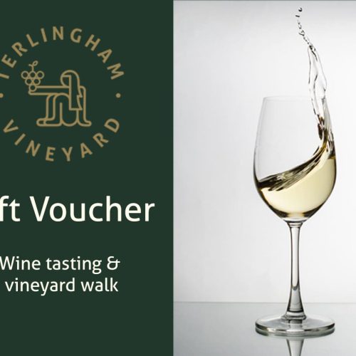 {TEST} Vineyard Walk and Wine tasting (1 person)