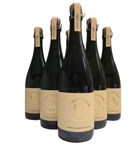 2023 Classic Cuvée Sparkling White Case of Six (10% off)